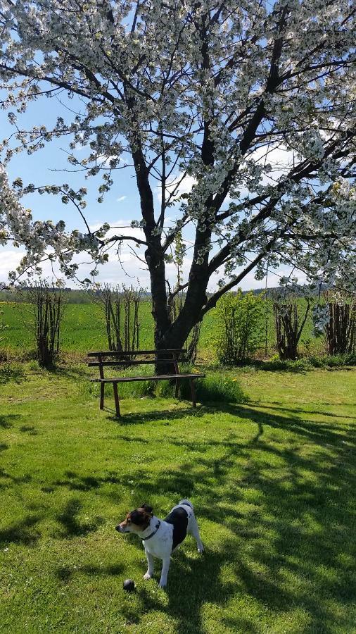 Ferienhaus Stolle Lawalde Dış mekan fotoğraf